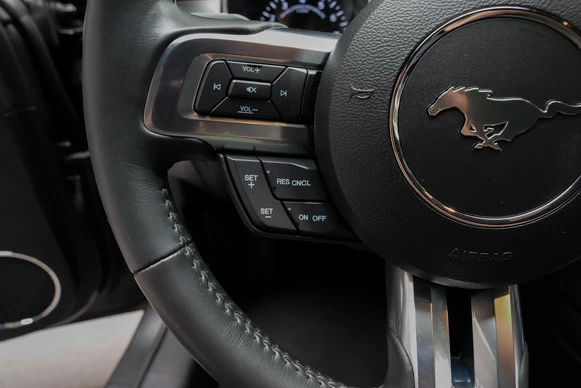 Ford Mustang - Afbeelding 15 van 30