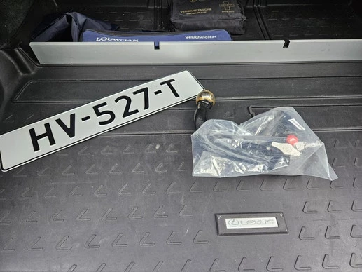 Lexus RX - Afbeelding 23 van 25