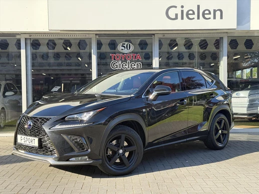 Lexus NX - Afbeelding 1 van 30