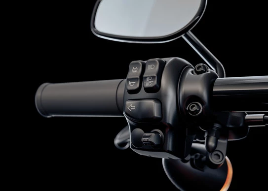 Harley-Davidson Road King - Afbeelding 7 van 13