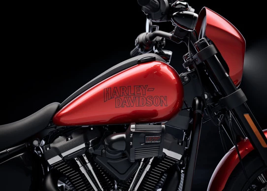 Harley-Davidson Low Rider - Afbeelding 9 van 20