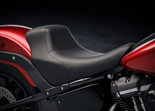 Harley-Davidson Low Rider - Afbeelding 10 van 20