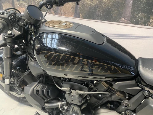 Harley-Davidson Sportster - Afbeelding 8 van 11