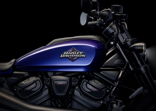 Harley-Davidson Sportster - Afbeelding 4 van 19