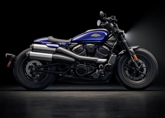 Harley-Davidson Sportster - Afbeelding 5 van 19