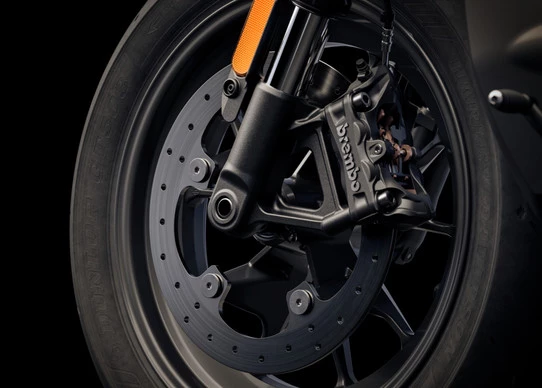 Harley-Davidson Sportster - Afbeelding 9 van 19
