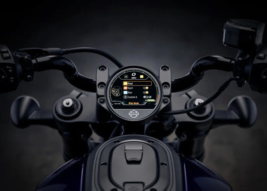 Harley-Davidson Sportster - Afbeelding 12 van 19