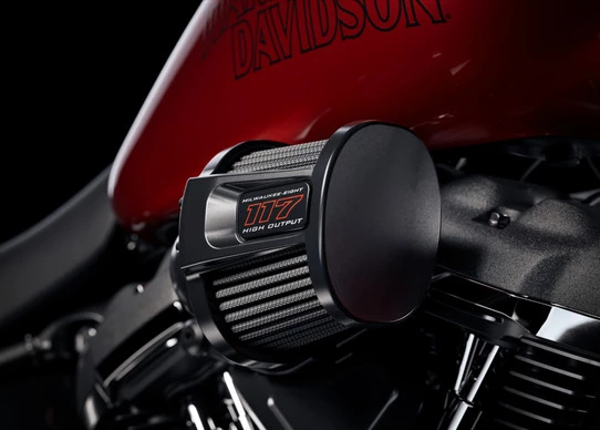 Harley-Davidson Low Rider - Afbeelding 14 van 20