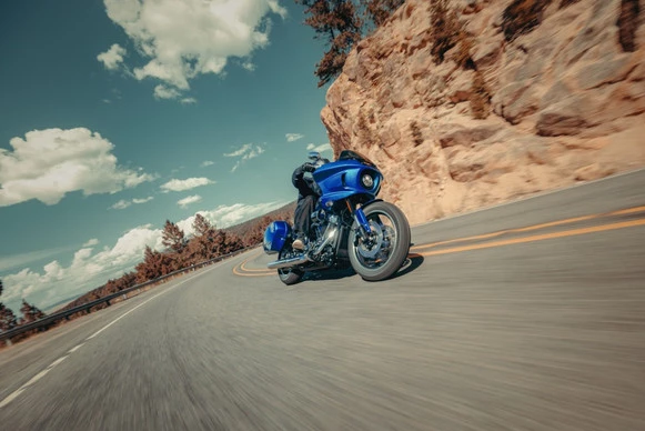 Harley-Davidson Low Rider - Afbeelding 6 van 17