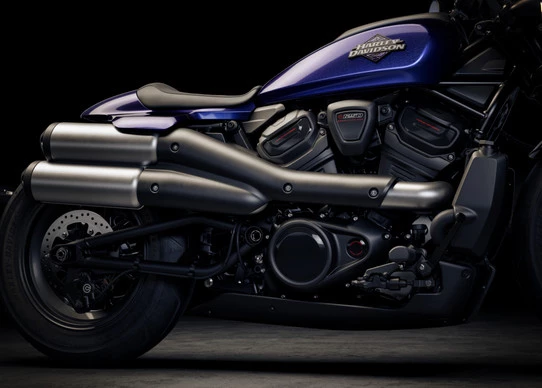 Harley-Davidson Sportster - Afbeelding 2 van 19
