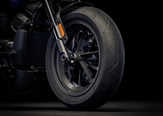Harley-Davidson Sportster - Afbeelding 7 van 19
