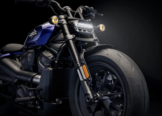 Harley-Davidson Sportster - Afbeelding 11 van 19