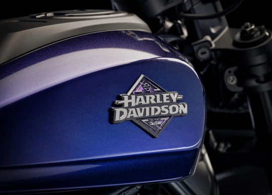 Harley-Davidson Sportster - Afbeelding 13 van 19