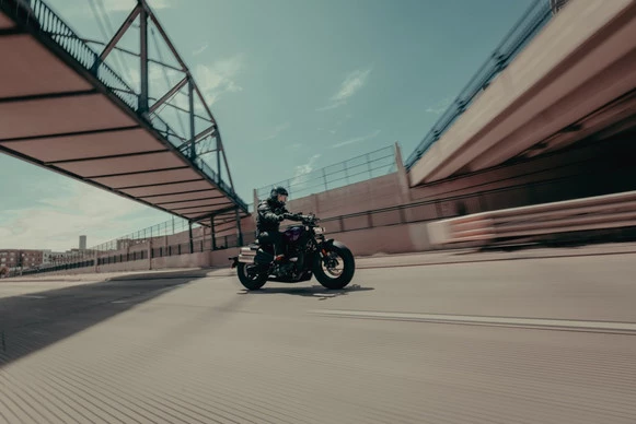 Harley-Davidson Sportster - Afbeelding 17 van 19