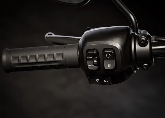 Harley-Davidson Heritage - Afbeelding 9 van 21