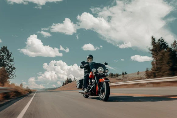 Harley-Davidson Heritage - Afbeelding 18 van 21