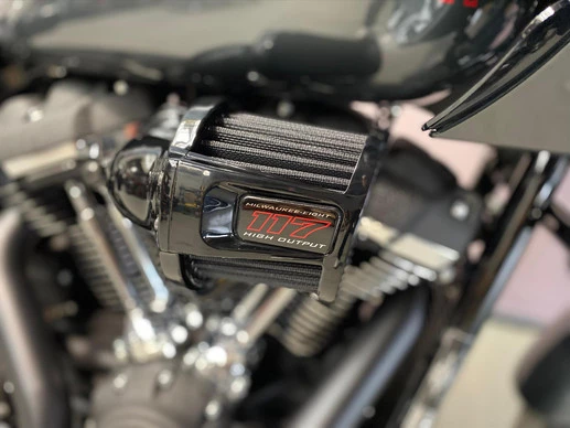 Harley-Davidson Low Rider - Afbeelding 6 van 14