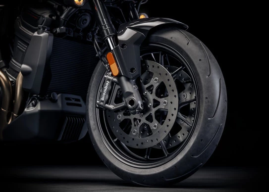 Harley-Davidson Pan America - Afbeelding 6 van 30