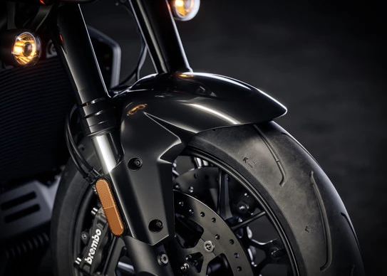 Harley-Davidson Pan America - Afbeelding 7 van 30