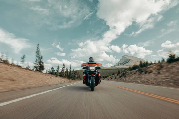 Harley-Davidson Street Glide - Afbeelding 20 van 27