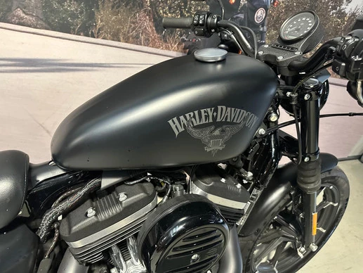 Harley-Davidson Sportster - Afbeelding 7 van 10