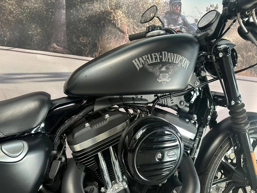Harley-Davidson Sportster - Afbeelding 7 van 10