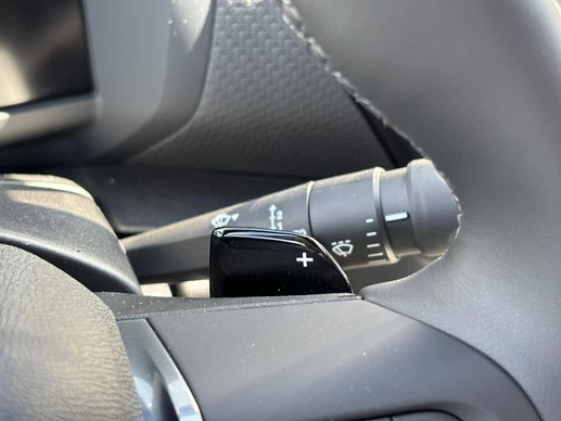 Citroën C4 X - Afbeelding 20 van 30