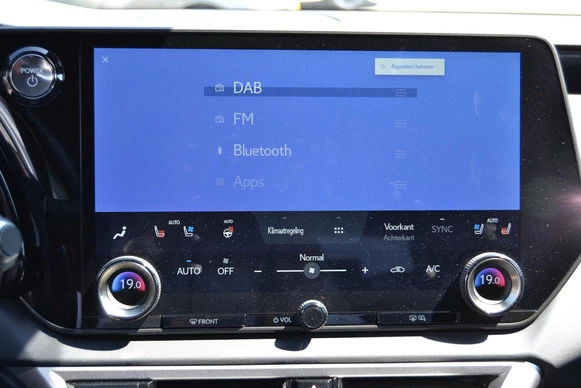 Lexus RX - Afbeelding 21 van 30