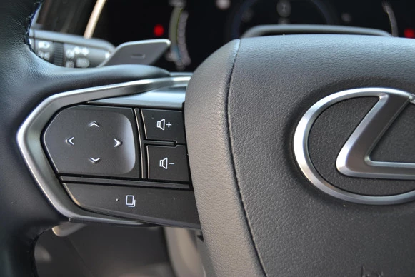Lexus RX - Afbeelding 30 van 30