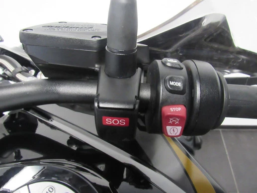 BMW R 1250 GS - Afbeelding 9 van 9