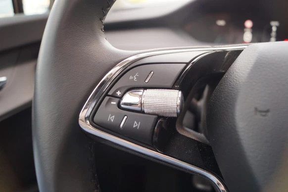 Škoda Enyaq iV - Afbeelding 15 van 30