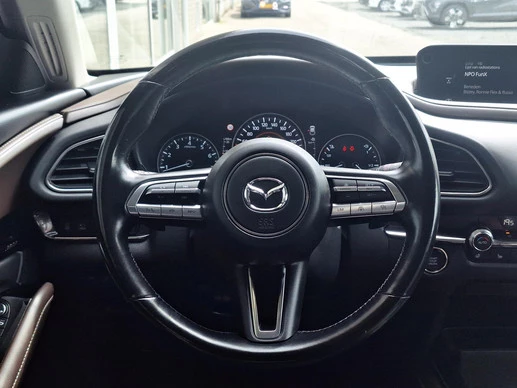 Mazda CX-30 - Afbeelding 18 van 30