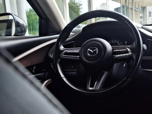 Mazda CX-30 - Afbeelding 19 van 30