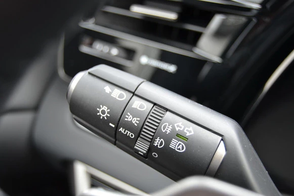 Lexus RX - Afbeelding 16 van 30