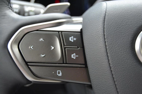 Lexus RX - Afbeelding 20 van 30
