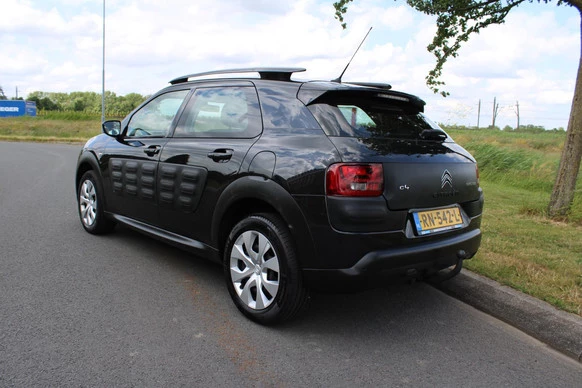 Citroën C4 Cactus - Afbeelding 3 van 30