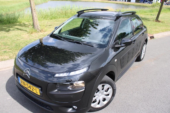 Citroën C4 Cactus - Afbeelding 18 van 30