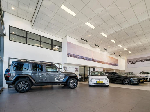 Citroën C4 Cactus - Afbeelding 6 van 12