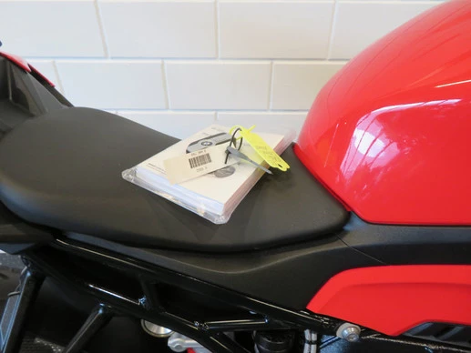 BMW S 1000 R - Afbeelding 15 van 15