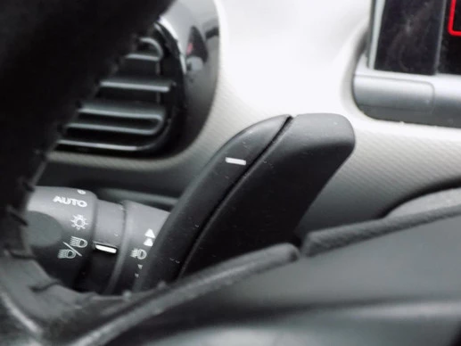 Citroën C4 Cactus - Afbeelding 11 van 18