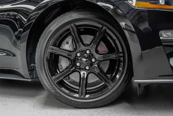 Ford Mustang - Afbeelding 16 van 26