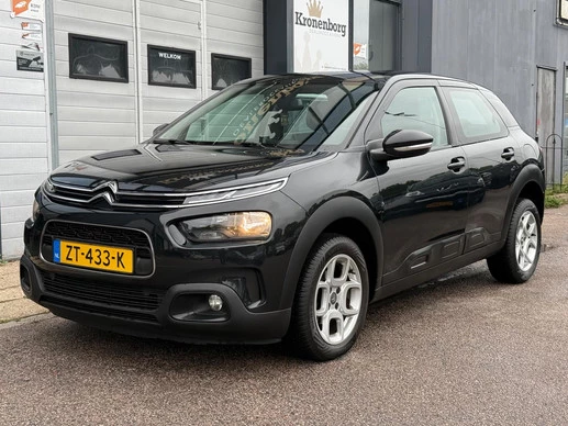 Citroën C4 Cactus - Afbeelding 3 van 21