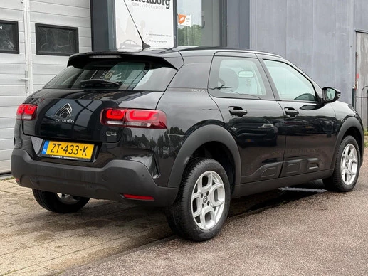 Citroën C4 Cactus - Afbeelding 12 van 21