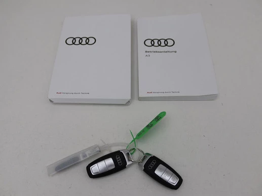 Audi A3 - Afbeelding 13 van 30