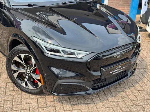 Ford Mustang Mach-E - Afbeelding 18 van 30