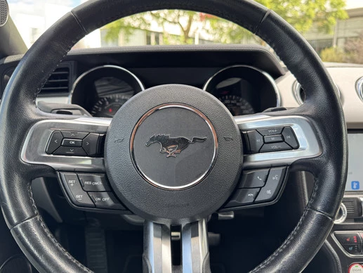 Ford Mustang - Afbeelding 20 van 30