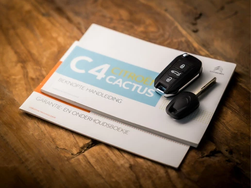 Citroën C4 Cactus - Afbeelding 16 van 30