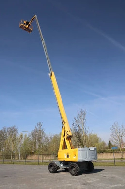 Afbeelding 8