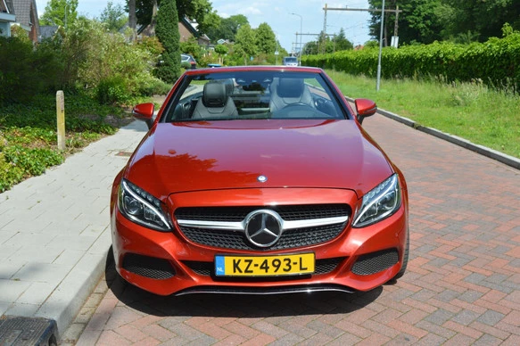 Afbeelding 8