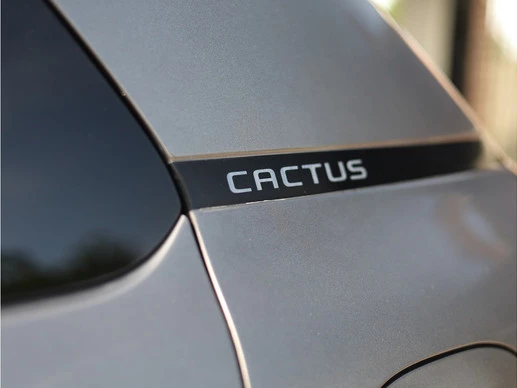 Citroën C4 Cactus - Afbeelding 6 van 30